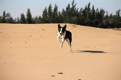 索尼将继续在PC上发行游戏：不会对PS平台构成威胁
